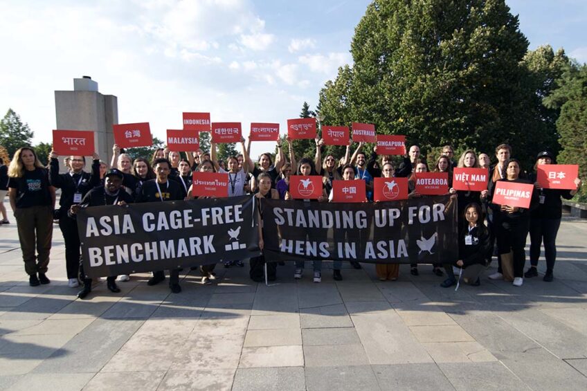 Advocates raise banners at the OWA Global Summit. Photo: Open Wing Alliance
