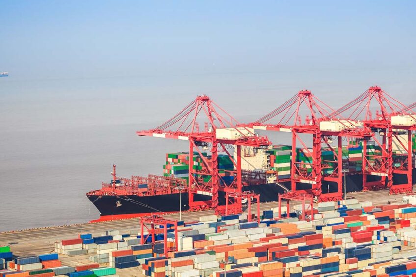 Poland has sent the first containers of poultry to the Philippines. Photo: Canva
