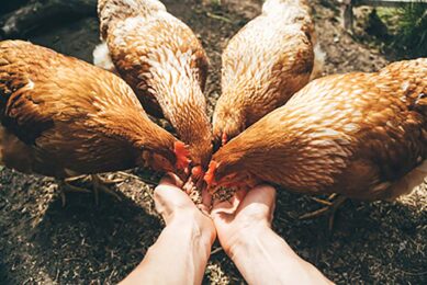 Photo: IStockphoto