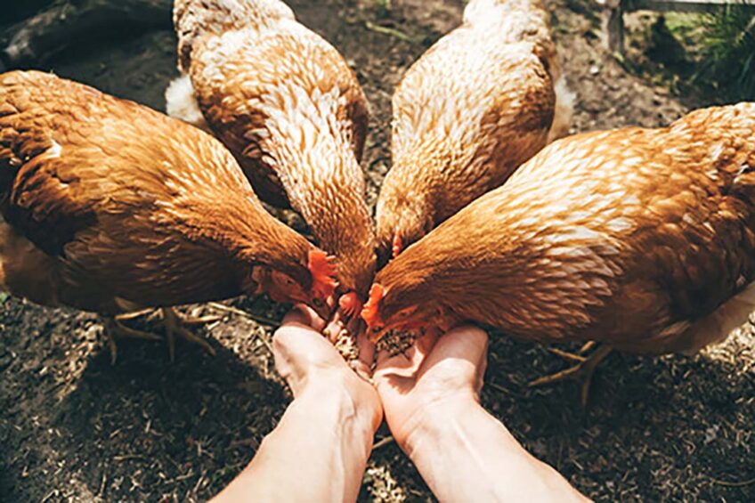 Photo: IStockphoto
