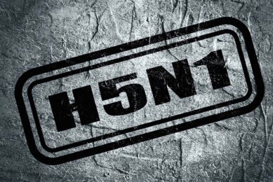 The Texas Animal Health Commission has confirmed that the influenza subtype is known as H5N1. Photo: Canva