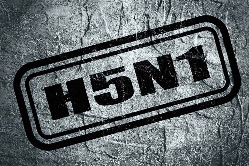 The Texas Animal Health Commission has confirmed that the influenza subtype is known as H5N1. Photo: Canva