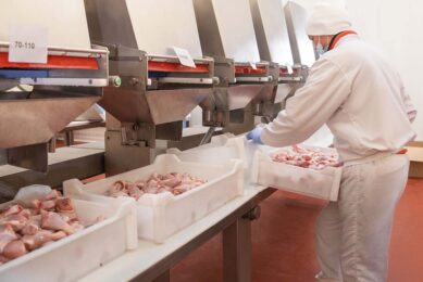It is reported that in 2024, Russia plans to produce 2% more poultry meat than in 2023. Photo: Canva