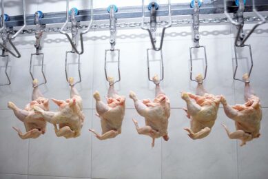 There are concerns that increasing the processing line speed. Photo: Canva