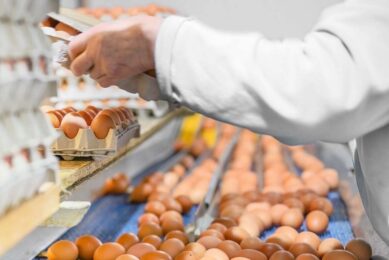 Production at the facility in Parmer Country, Texas, has temporarily ceased. Photo: Canva