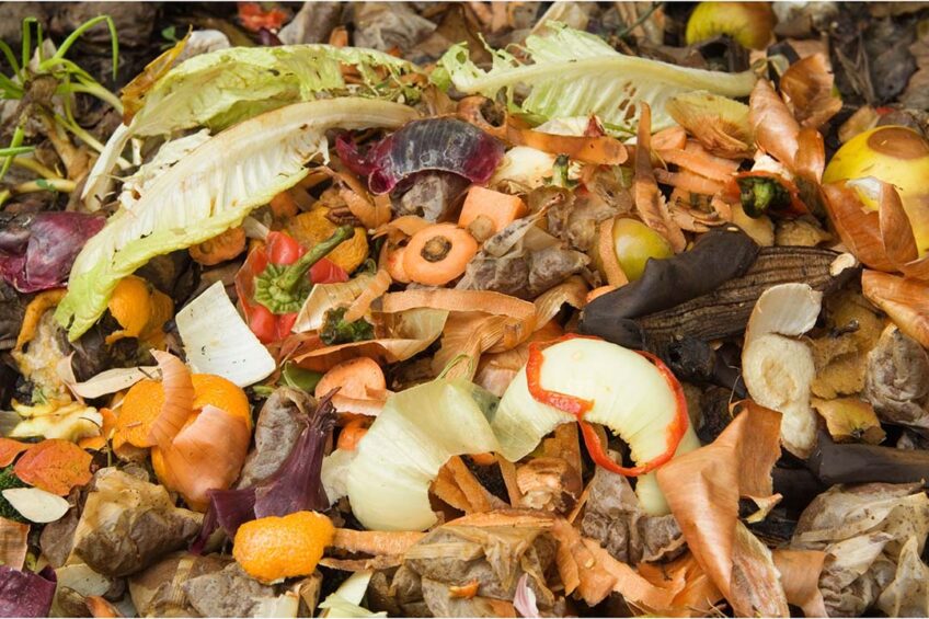 A study looked at the broad nutritional composition and toxicological considerations associated with incorporating food scraps into poultry feed. Photo: Canva