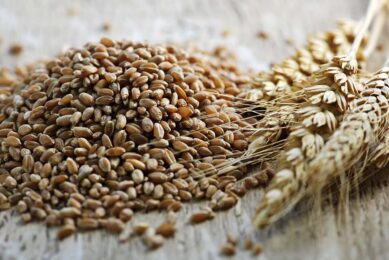 On the Paris futures market, the lowest point for wheat delivered in May was just below €90/tonne (on 6 March). Photo: Canva