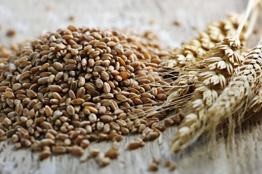 On the Paris futures market, the lowest point for wheat delivered in May was just below €90/tonne (on 6 March). Photo: Canva