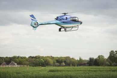 Studies have shown that single short episodes of stress due to aircraft noise did not affect poultry egg production, while longer periods of stress reduced egg production.