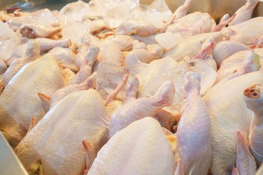Rabobank says that South and Southeast Asia will be the world’s fastest-growing poultry markets over the next 6 years. Photo: Canva