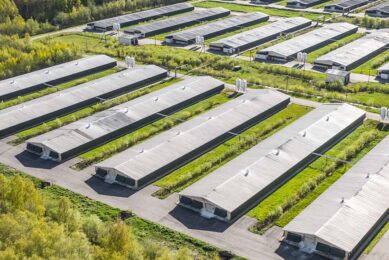 MHP estimated the investment cost of its acquisition was €16,8 million (US$18,1 million).  Photo: Canva