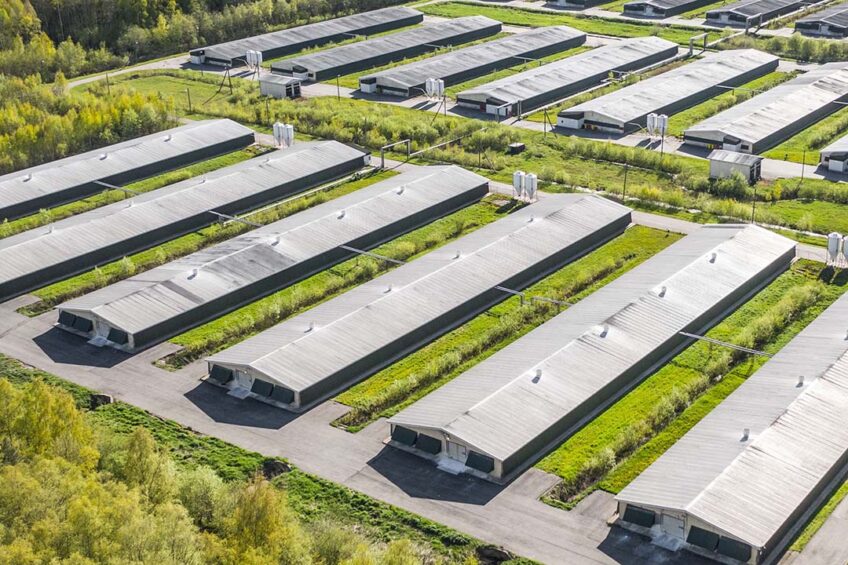 MHP estimated the investment cost of its acquisition was €16,8 million (US$18,1 million).  Photo: Canva