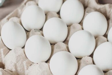 Tom Elliott, founder and managing director of the Eggsell Marketing Cooperative, said he believes there is real momentum in white egg production. Photo: Canva