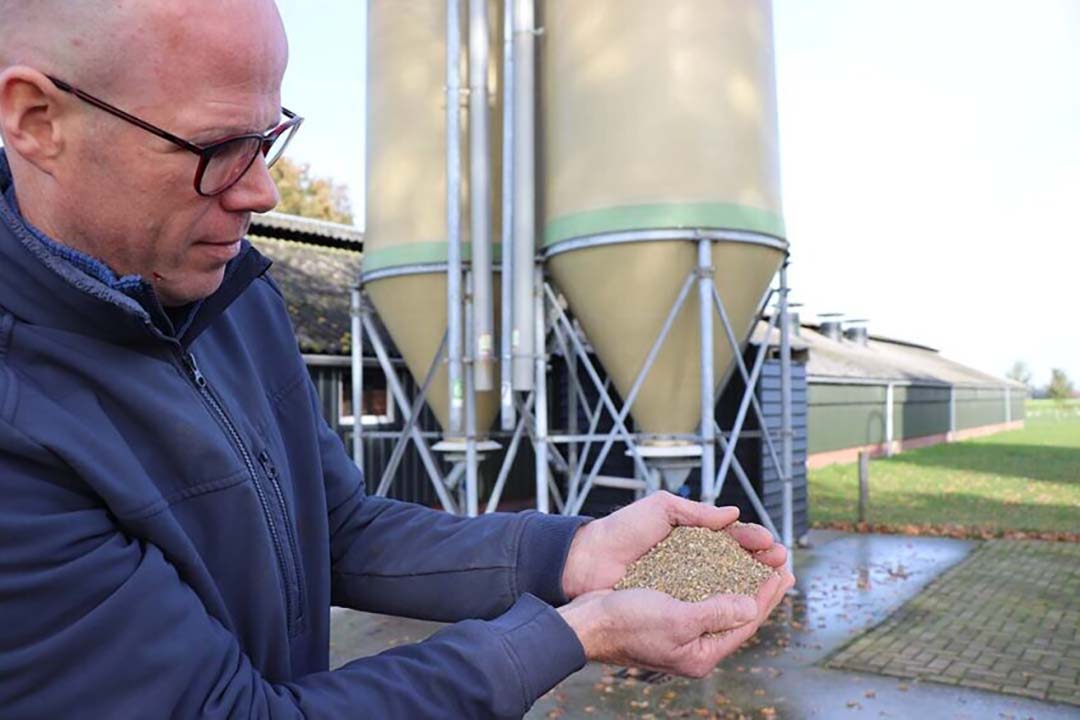 Aart van den Ham: “European soy has a much lower footprint than soy from South America. And you no longer contribute to the deforestation of rainforests.
