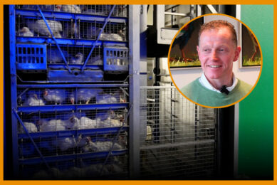 VIDEO: CO2 stunning – ‘Win-win situation for bird and processor’