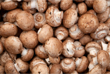 Mushroom stumps for the research were obtained from a commercial mushroom farm in southwest Pennsylvania. Photo: Canva