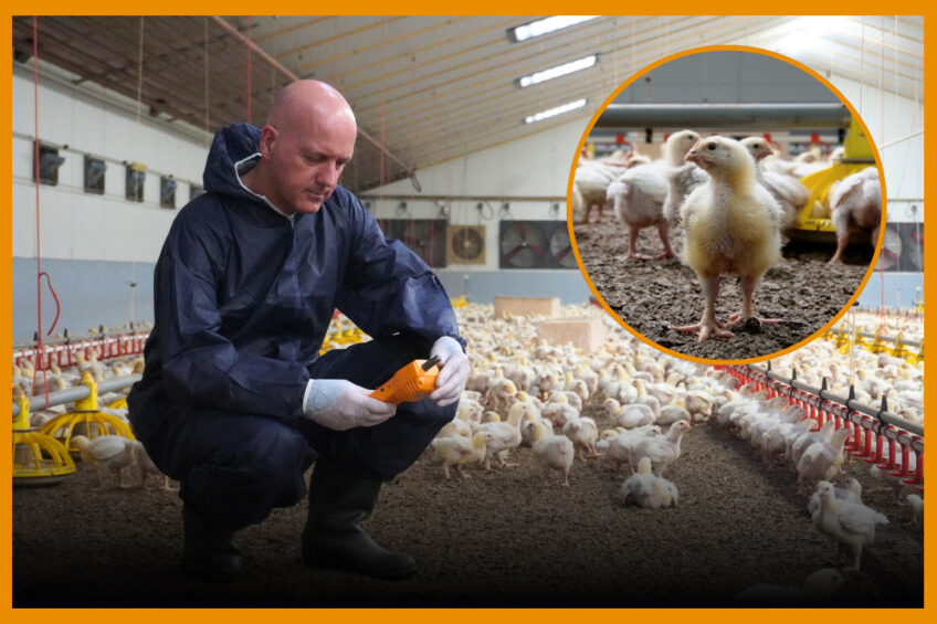 VIDEO: Veterinary monitoring and communication between stakeholder are key