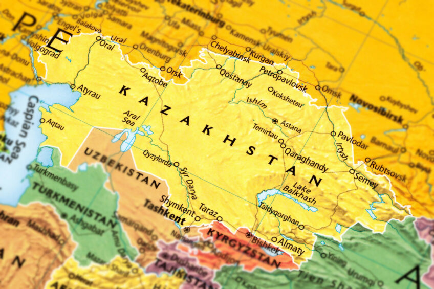 Kazakhstan imports 7.7 million head of day-old chicks and 67.7 million hatching eggs annually to meet the demand of poultry farms. Photo: Canva