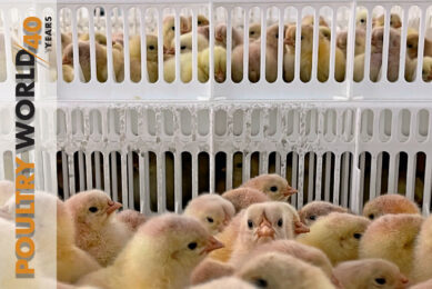 Animal welfare in Norway in Poultry World 8