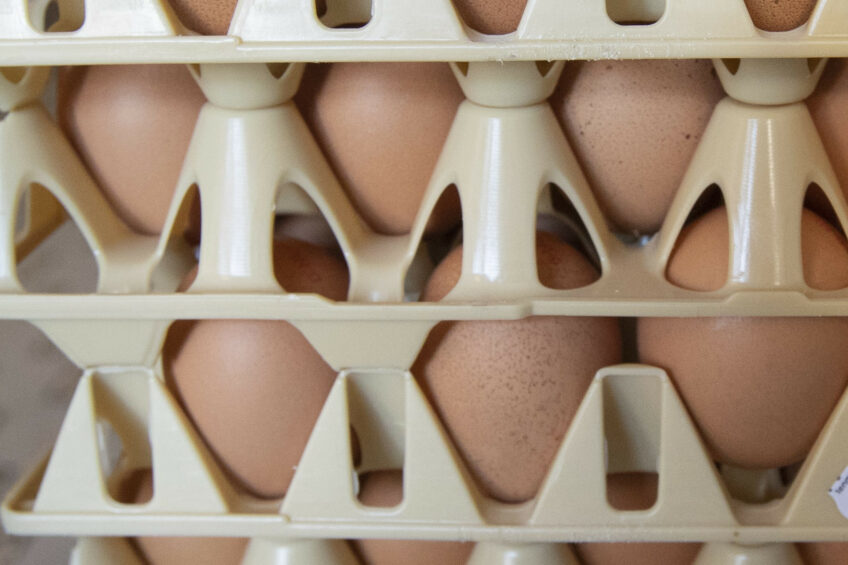 “While it’s great that many products already contain British Lion egg ingredients, shoppers may be unaware as there is little to no information on the pack,” said Mark Williams, British Egg Industry Council chairman. Photo: Ronald Hissink