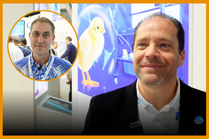 Poultry World editor Fabian Brockötter spoke to Marco Aurélo Elmer Lopes, Ceva’s poultry director, about controlling Infectious Bronchitis. Photo: Misset