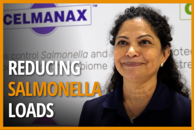Sangita Jalukar, senior technical service manager at Arm & Hammer, discusses Salmonella mitigation in live birds.