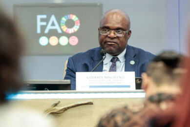 On 17 March 2025 in Rome, Italy, FAO deputy director-general Godfrey Magwenzi updated FAO members on avian influenza. Photo: FAO/Cristiano Minichiello
