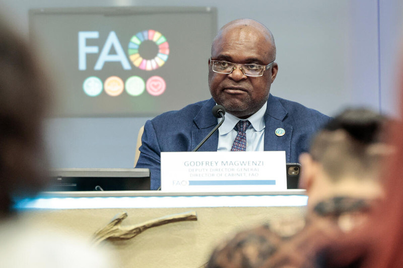On 17 March 2025 in Rome, Italy, FAO deputy director-general Godfrey Magwenzi updated FAO members on avian influenza. Photo: FAO/Cristiano Minichiello