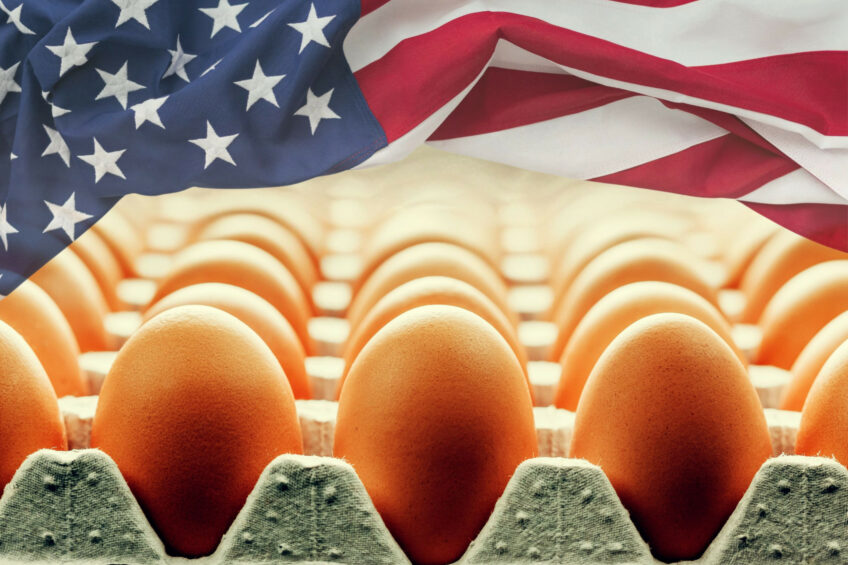 Federal action has been taken to reduce egg prices in the US. The US$$1 billion plan includes 5 areas of action. Photo: Canva