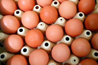 In the US, some grocery stores are limiting purchases while some restaurants are applying surcharges for meals that include eggs. Photo: Bert Jansen
