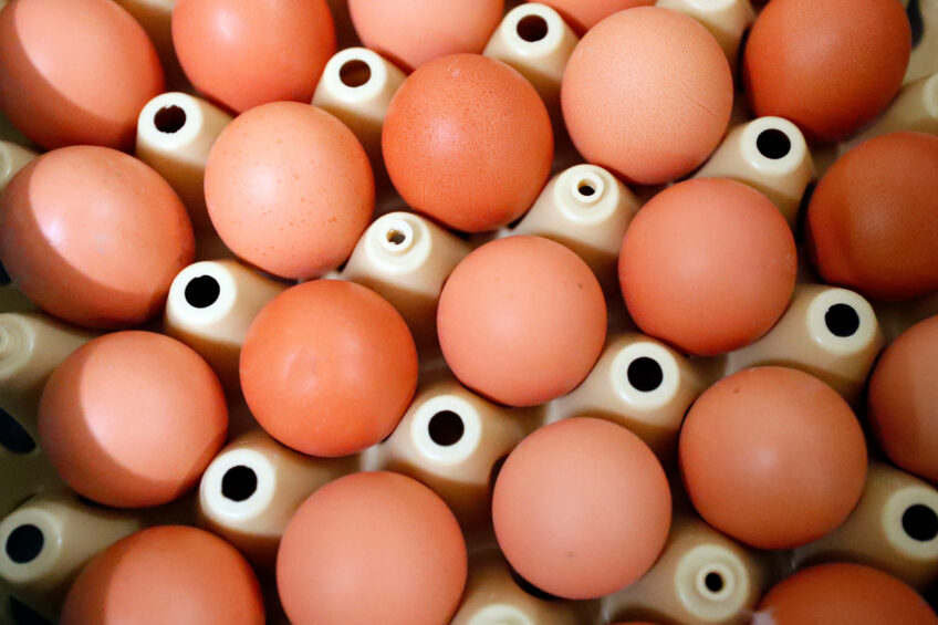 In the US, some grocery stores are limiting purchases while some restaurants are applying surcharges for meals that include eggs. Photo: Bert Jansen