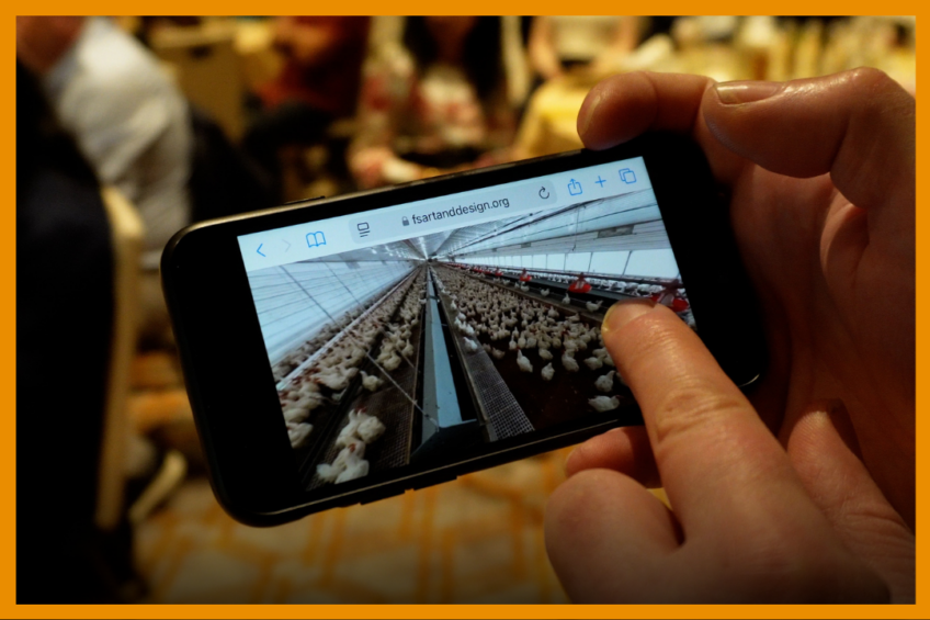 Video: How virtual training transforms animal welfare education
