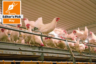 Finnish laying hen farm – growing production together
