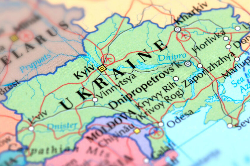 Ukrainian agriculture, including the poultry industry, continues to suffer from damages and destruction. Photo: Canva