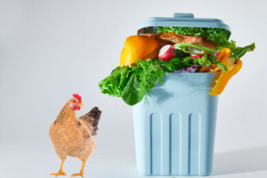 Egypt generates around 65 million tonnes of potentially useful waste per year. Photo: Canva