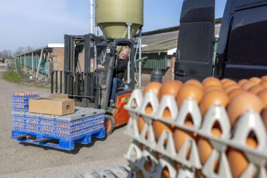 Ukraine is one of the largest egg exporters in Eastern Europe. Photo: Mark Pasveer