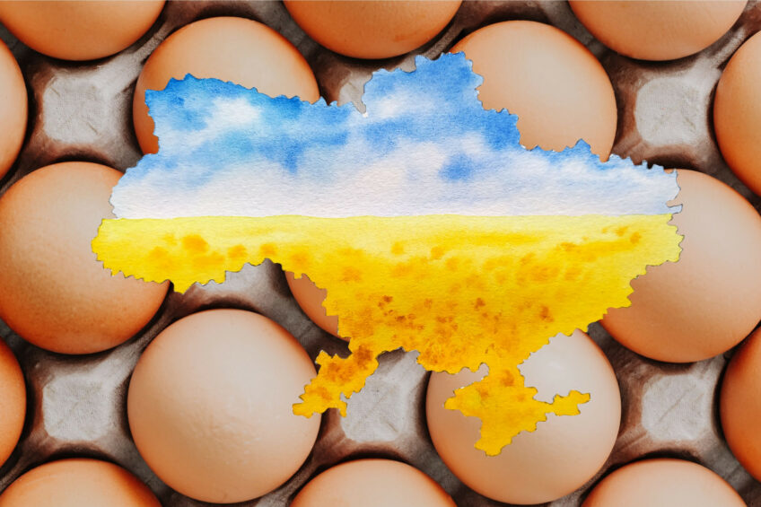 The new egg gigafarm being planned could alter competition in the Eastern European region. Photo: Canva