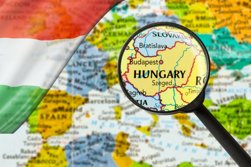 Hungary remains committed to supporting poultry farmers and expanding poultry production in the coming years. Photo: Canva