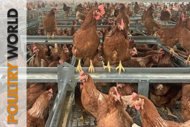 A new reality in the EU and beyond in Poultry World 4
