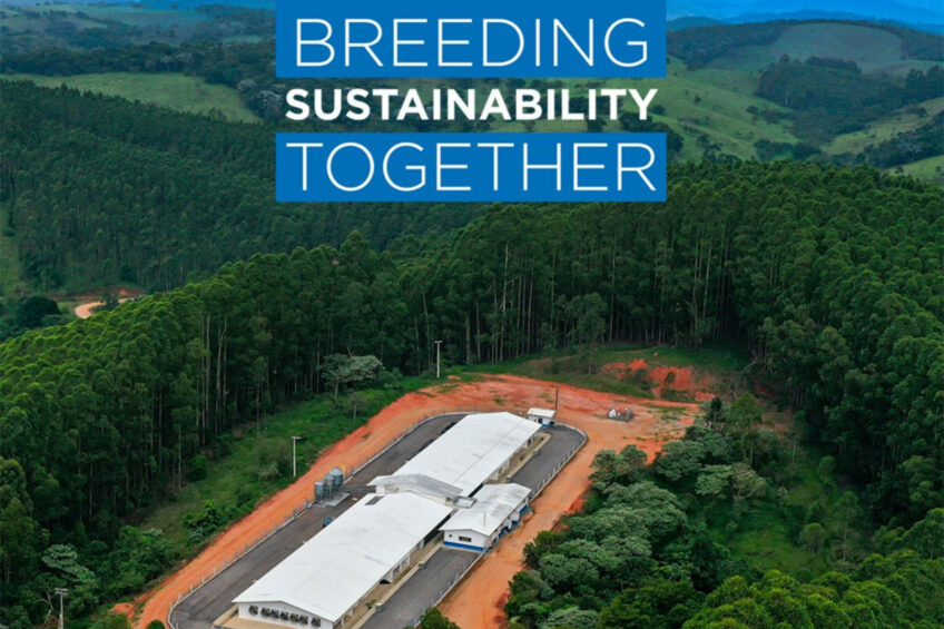Aviagen has shared its 2023 Sustainability Report. Photo: Aviagen