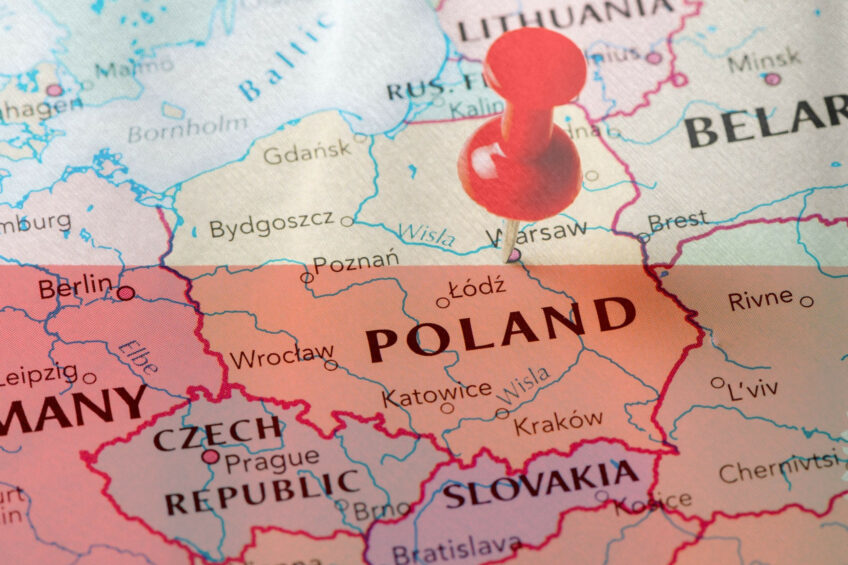The recent bird flu and Newcastle disease outbreaks have also exposed a long-standing issue of overcapacity in Poland's poultry slaughtering and processing segment. Photo: Canva