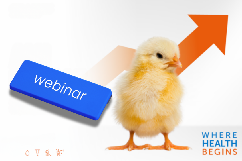 Upcoming webinar on advanced hygiene programme for poultry production