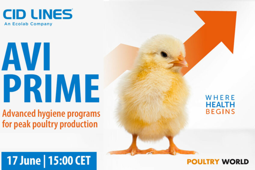 Effectiveness of a comprehensive hygiene programme in controlling Salmonella