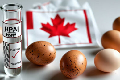 Canada has implemented several measures to control the spread of avian influenza. Credit: Canva