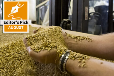 The economic impact and importance of proper poultry feed storage
