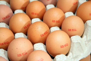 The European poultry sector, in particular, fears cheap imports from Ukraine. Photo: Henk Riswick