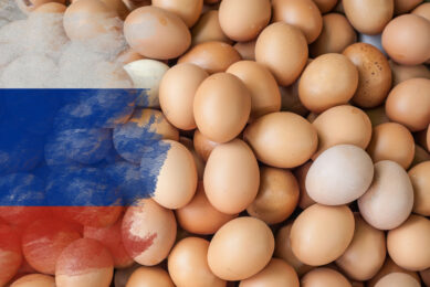 Russian environmental protection community has intensified its efforts to convince authorities to adopt strict animal welfare rules to prevent the cases that have recently occurred in the egg industry. Photo: Canva