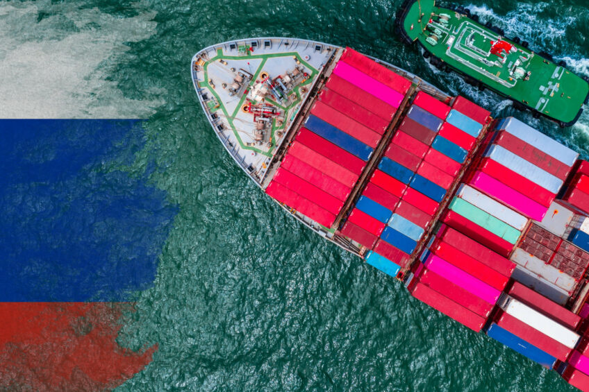In 2024, Russia’s poultry exports reached US$800 million, accounting for 48% of sales. Photo: Canva