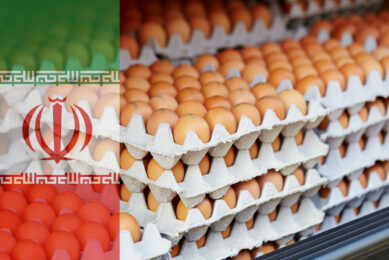 Iran currently produces around 115,000 tonnes of eggs per month, which is above the demand on the domestic market. Photo: Canva