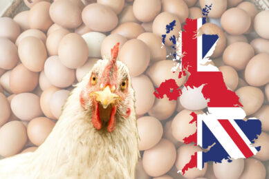 Updated standards come into force toward the end of September and include a housing confinement contingency plan, responsible antibiotic usage, and AI and CCTV upgrades in abattoirs. Photo: Canva